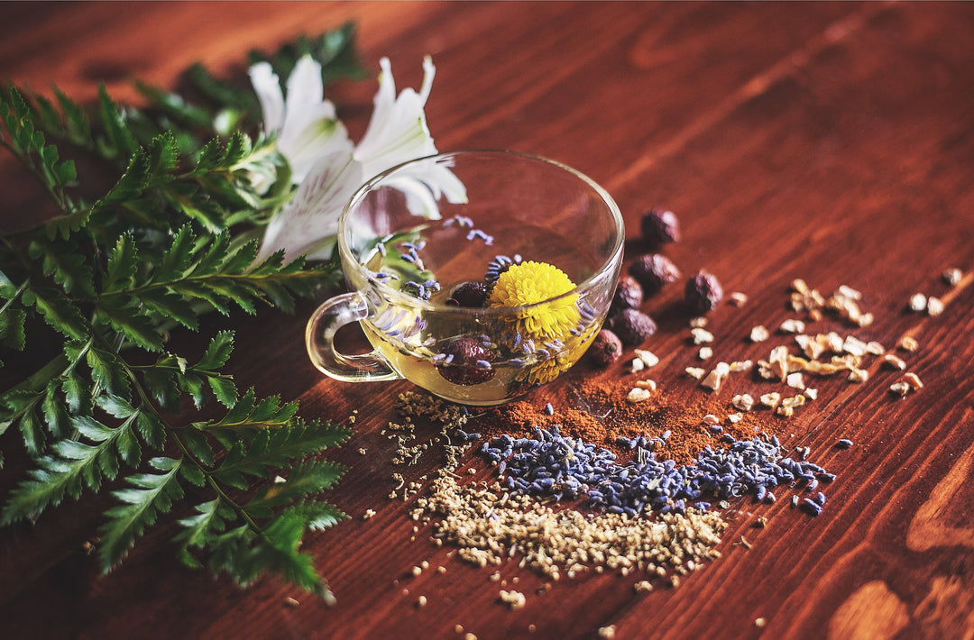 Adaptogens & Nootropics…WTH are they & what's the difference?