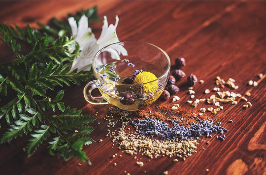 Adaptogens & Nootropics…WTH are they & what's the difference?